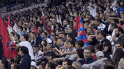 lyon joie GIF by Olympique Lyonnais