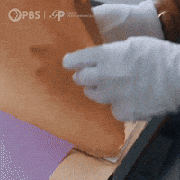 Now Hear This Public Tv GIF by GREAT PERFORMANCES | PBS