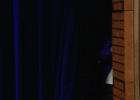 Entrance Catchphrase GIF by The Tonight Show Starring Jimmy Fallon