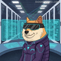 Dog Success GIF by Doge Pound