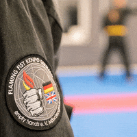 Sport Health GIF by Flaming Fist Kenpo Germany - empty hands e.V.