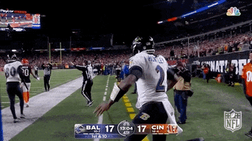 Baltimore Ravens Football GIF by NFL