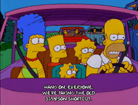 homer simpson GIF