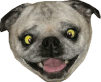 dog Sticker by namslam