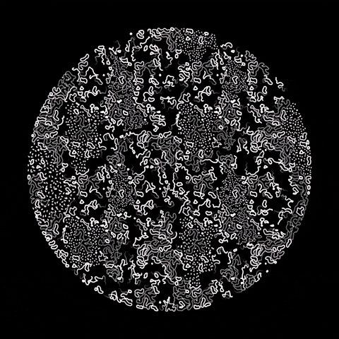 Art Animation GIF by roberthruska