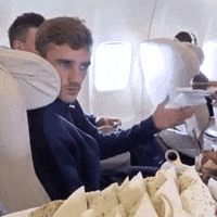 GIF by The Telegraph