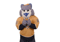 Cant Look Ice Hockey Sticker by NHL