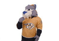 Ice Hockey Sticker by NHL