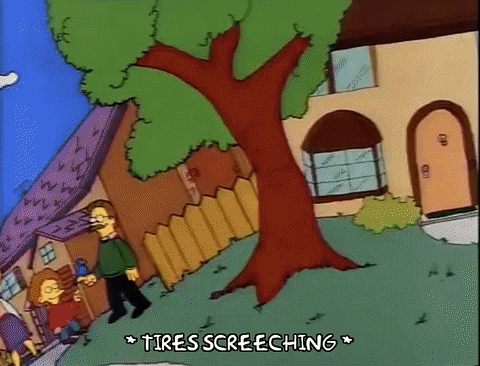 homer simpson car GIF