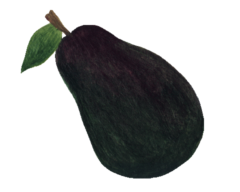 jananareally giphyupload fruit avocado fruits Sticker