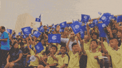 china football GIF by Bundesliga