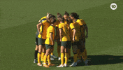 Sport Soccer GIF by Football Australia