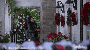 Candy Cane Wow GIF by Hallmark Mystery