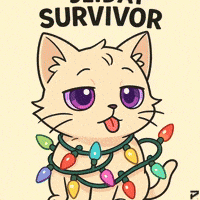 Awkward Christmas Lights GIF by Persona