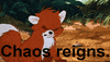 Series Lars GIF