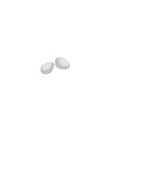 egg ei Sticker by The Eggshibit