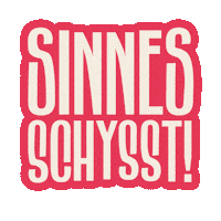 convinisverige makes sense convini sinnesschysst Sticker