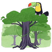 Bird Forest Sticker by WWF Deutschland