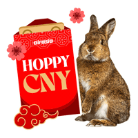 Chinese New Year Bunny Sticker by airasia