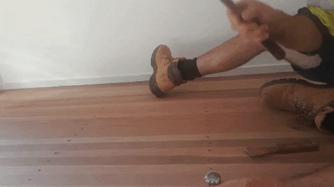 econoce giphyupload punching floor sanding brisbane GIF