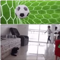 GIF by The Videobook