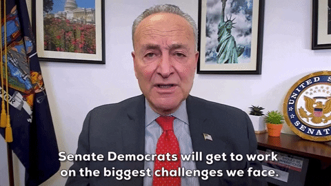 Chuck Schumer GIF by GIPHY News