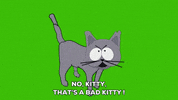 angry cat GIF by South Park 