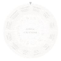 Zodiac Gemini Sticker by EF Collection