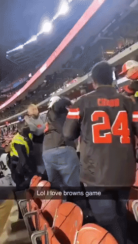 Brawl Breaks Out in Stands as Browns Face Bengals