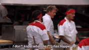 gordon ramsay fox GIF by Hell's Kitchen