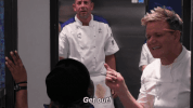 gordon ramsay fox GIF by Hell's Kitchen