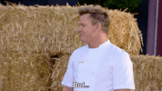 gordon ramsey cooking GIF by Hell's Kitchen