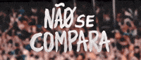 botafogo de futebol e regatas GIF by Botafogo