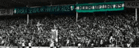 Kocaelispor GIF