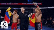 mixed martial arts fighting GIF by CombateAmericas