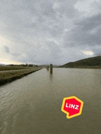 Summer Rain GIF by Linz News