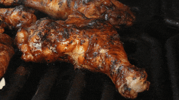 bbq GIF