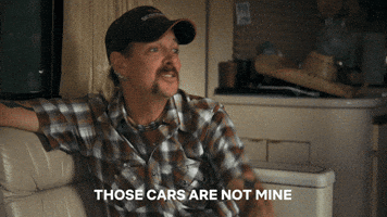 Big Cat No GIF by NETFLIX