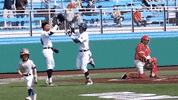 NevadaWolfPack happy celebration baseball high five GIF