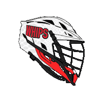 Whipsnakes Sticker by Premier Lacrosse League