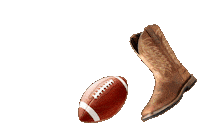 Football Country Sticker by Ariat