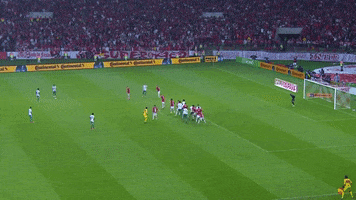 copa do brasil inter GIF by SE Palmeiras