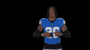 Nfl GIF by Detroit Lions
