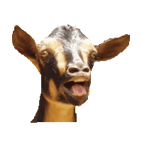 Shocked Surprise Sticker by imoji