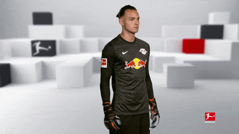 Posing Line Up GIF by Bundesliga