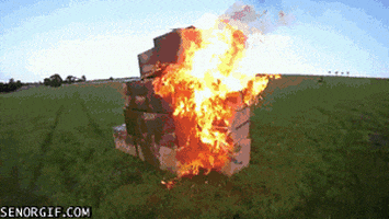 on fire win GIF by Cheezburger