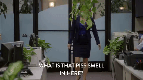 comedy central alice murphy GIF by Workaholics