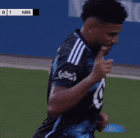 Minnesota United Mls GIF by Major League Soccer