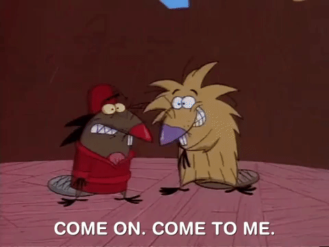 nickrewind giphydvr nicksplat angry beavers giphyab010 GIF