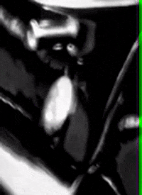 aragonidigital  GIF
